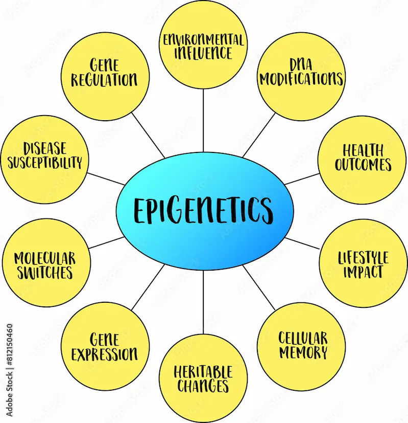 Understanding Epigenetics